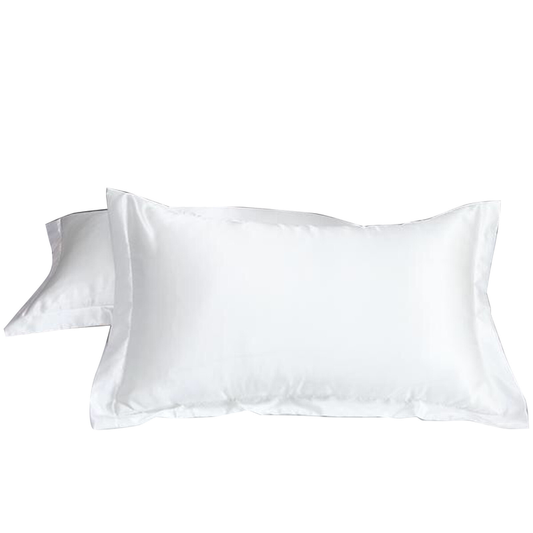 2Pcs Silk Satin Pillow Case